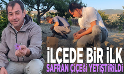 İlçede bir ilk: Safran çiçeği yetiştirildi