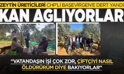 Manisalı zeytinciler CHP'li vekile derta yandı