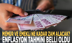 Memur ve emekli ne kadar zam alacak? Enflasyon tahmini belli oldu