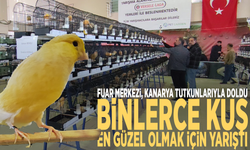 Fuar Merkezi kanarya tutkunlarıyla doldu: Binlerce kuş en güzel olmak için yarıştı