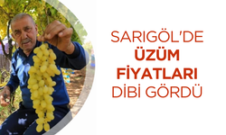 Sarıgöl'de üzüm fiyatları dibe vurdu