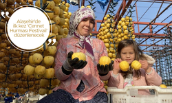 Alaşehir'de ilk kez 'Cennet Hurması Festivali' düzenlenecek