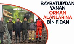 Baybatur'dan yanan orman alanlarına bin fidan