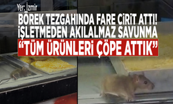 Börek tezgahında fare cirit attı, işletmeden akılalmaz savunma: “Tüm ürünleri çöpe attık”
