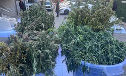 Tek operasyonda 3 milyon uyuşturucu hap ele geçti: 46 tutuklama