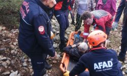 Hayvan otlatırlen kayalıklardan düştü