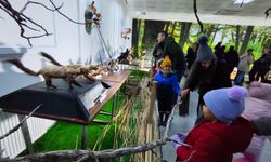 Minikler Spil Dağı’nda doğayla buluştu