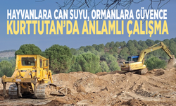Hayvanlara can suyu, ormanlara güvence: Kurttutan’da anlamlı çalışma