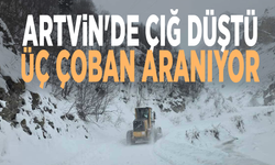Artvin'de çığ düştü: Üç çoban aranıyor