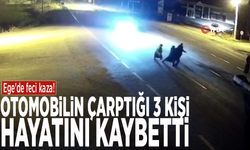 Ege'de feci kaza! Otomobilin çarptığı 3 kişi hayatını kaybetti