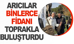 Soma'da arıcılar binlerce fidanı toprakla buluşturdu
