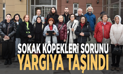 Sokak köpekleri sorunu yargıya taşındı