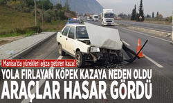 Yola fırlayan köpek kazaya neden oldu: Araçlar hasar gördü