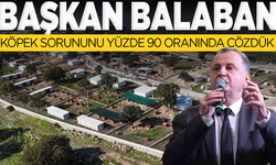 Yunusemre Belediye Başkanı Semih Balaban: Köpek sorununu yüzde 90 oranında çözdük