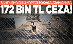 Manisa'da sahiplendiği iki köpeği sokağa atan şahsa 172 bin TL ceza