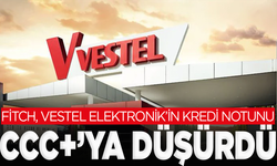 Fitch, Vestel Elektronik’in Kredi Notunu CCC+’ya Düşürdü