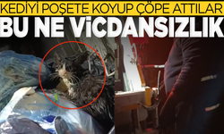 Kedi belediye personelinin dikkati sayesinde kurtarıldı