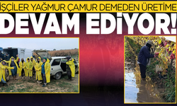 İşçiler yağmur ve çamuru aldırış etmeden üretime devam ediyor