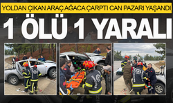 Yoldan çıkan araç ağaca çarptı; 1 ölü, 1 yaralı
