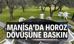 Manisa'da horoz dövüşüne baskın