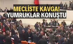 Meclis'te ortalık karıştı, yumruklar konuştu!