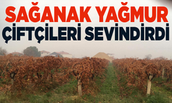 Sağanak yağmur çiftçileri sevindirdi
