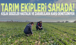 Tarım ekipleri sahada! Kışlık sebzeler hastalık ve zararlılara karşı denetleniyor