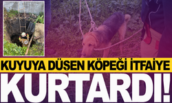 Kırkağaç'ta kuyuya düşen köpek itfaiye ekiplerince kurtarıldı