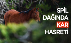 Spil Dağında kar hasreti