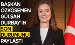 Mert Özkösemen'den Gülşah Durbay açıklaması