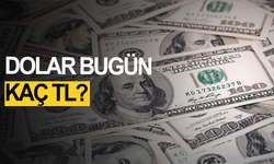 28 Aralık Pazar 2025 dolar ne kadar?