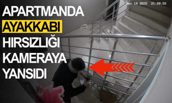 Apartmandan ayakkabı hırsızlığı kameraya yansıdı