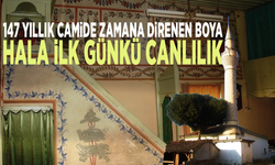 147 yıllık camide zamana direnen boya: Hala ilk günkü canlılık
