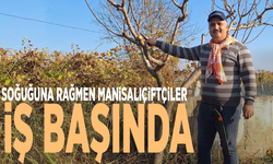 Soğuğuna rağmen Manisalı çiftçiler iş başında