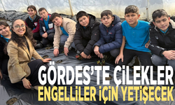 Gördes’te çilekler engelliler için yetişecek