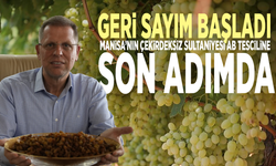 Geri sayım başladı: Manisa’nın Çekirdeksiz Sultaniyesi AB Tesciline son adımda