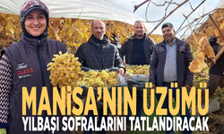Manisa’nın üzümü yılbaşı sofralarını tatlandıracak