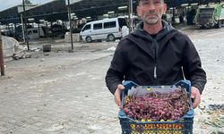 2025 yılı üzümlerini 2026’da bitirdi