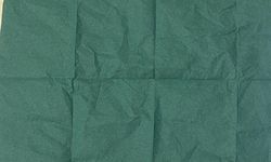 Manisa’da aranan şüpheliden 2 bin 500 içimlik uç bonzai çıktı!