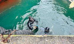 İzmir İtfaiyesi, iskele altında sıkışan kediyi kurtardı