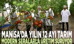 Manisa’da yılın 12 ayı tarım... Modern seralarla üretim sürüyor