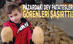 Pazardaki dev patatesler görenleri şaşırttı!