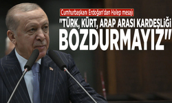 Cumhurbaşkanı Erdoğan'dan Halep mesajı: "Türk, Kürt, Arap arası kardeşliği bozdurmayız"