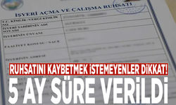 Ruhsatını kaybetmek istemeyenler dikkat! 5 ay süre verildi