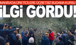 Manisa'da üreticilere ücretsiz budama kursuna yoğun ilgi