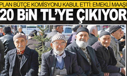 Plan Bütçe Komisyonu kabul etti: Emekli maaşı 20 Bin TL’ye çıkıyor