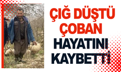 Çığın altında kalan çoban hayatını kaybetti