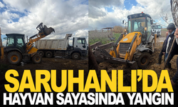 Saruhanlı’da hayvan sayasında yangın
