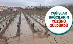 Manisa'da etkili olan yağış bağcıların yüzünü güldürdü