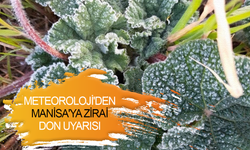 Meteoroloji'den Manisa'ya zirai don uyarısı